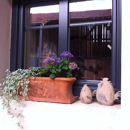 Nocleg ze śniadaniem Cote Cour Colmar 2 Bischwihr